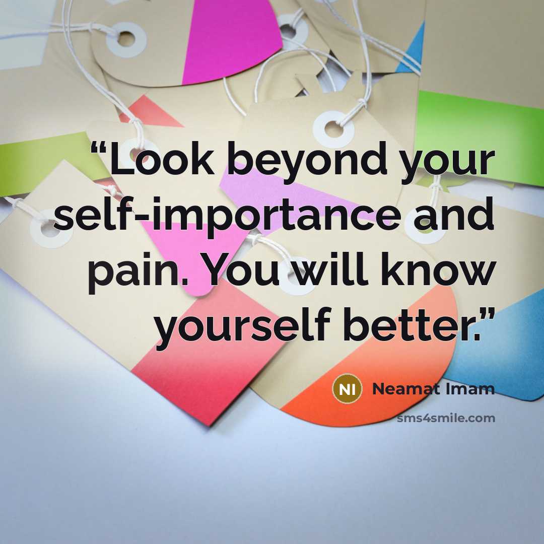 “Look beyond your self-importance and pain. You will know yourself better.” quote by Neamat Imam