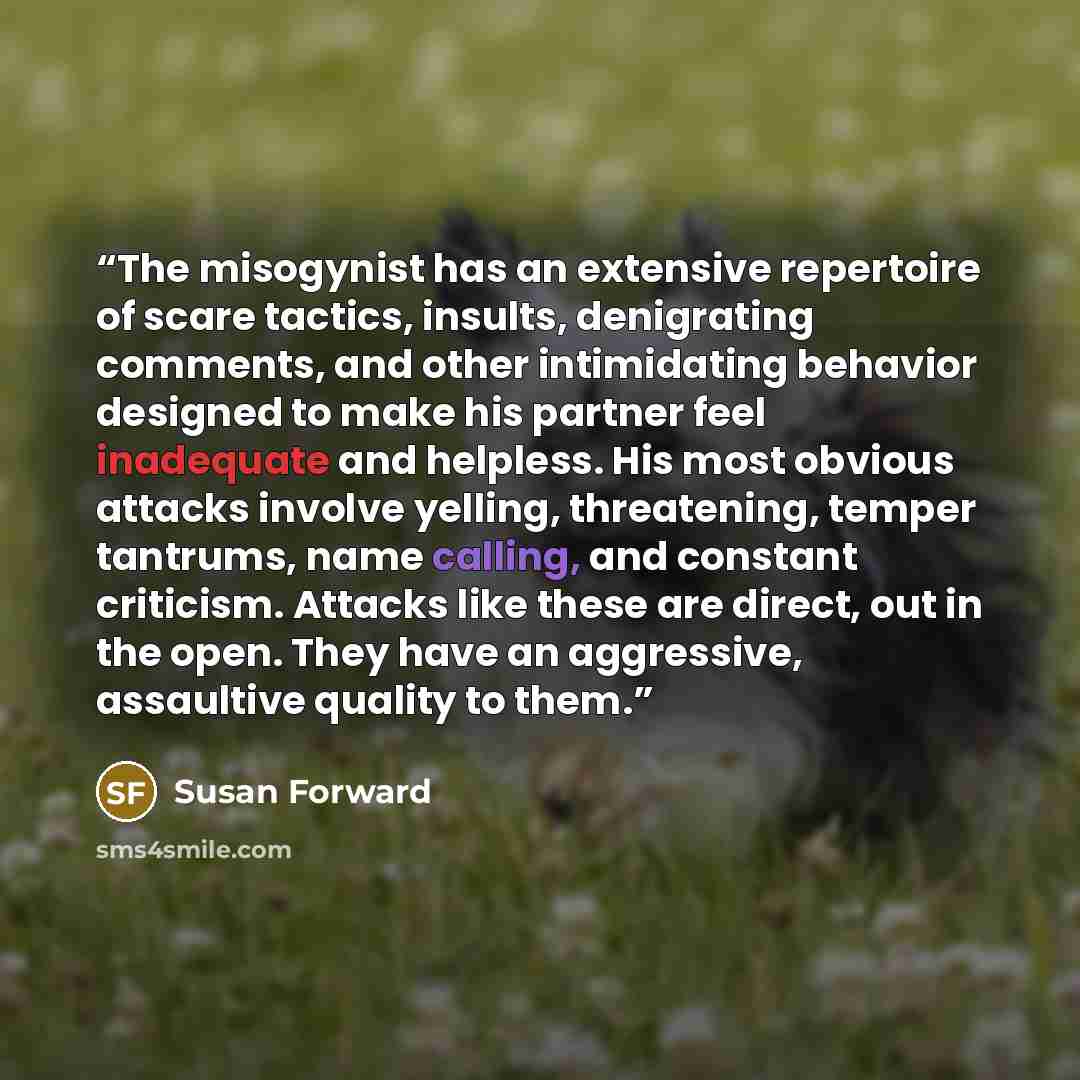 “The misogynist has an extensive repertoire of scare tactics, insults, denigrating comments, and other intimidating behavior designed to make his partner feel inadequate and helpless. His most obvious attacks involve yelling, threatening, temper tantrums, name calling, and constant criticism…” quote by Susan Forward
