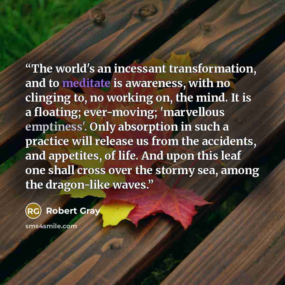 “The world's an incessant transformation, and to meditate is awareness, with no clinging to, no working on, the mind. It is a floating; ever-moving; 'marvellous emptiness'. Only absorption in such a practice will release us from the accidents, and appetites, of life. And upon this leaf one shall…” quote by Robert Gray