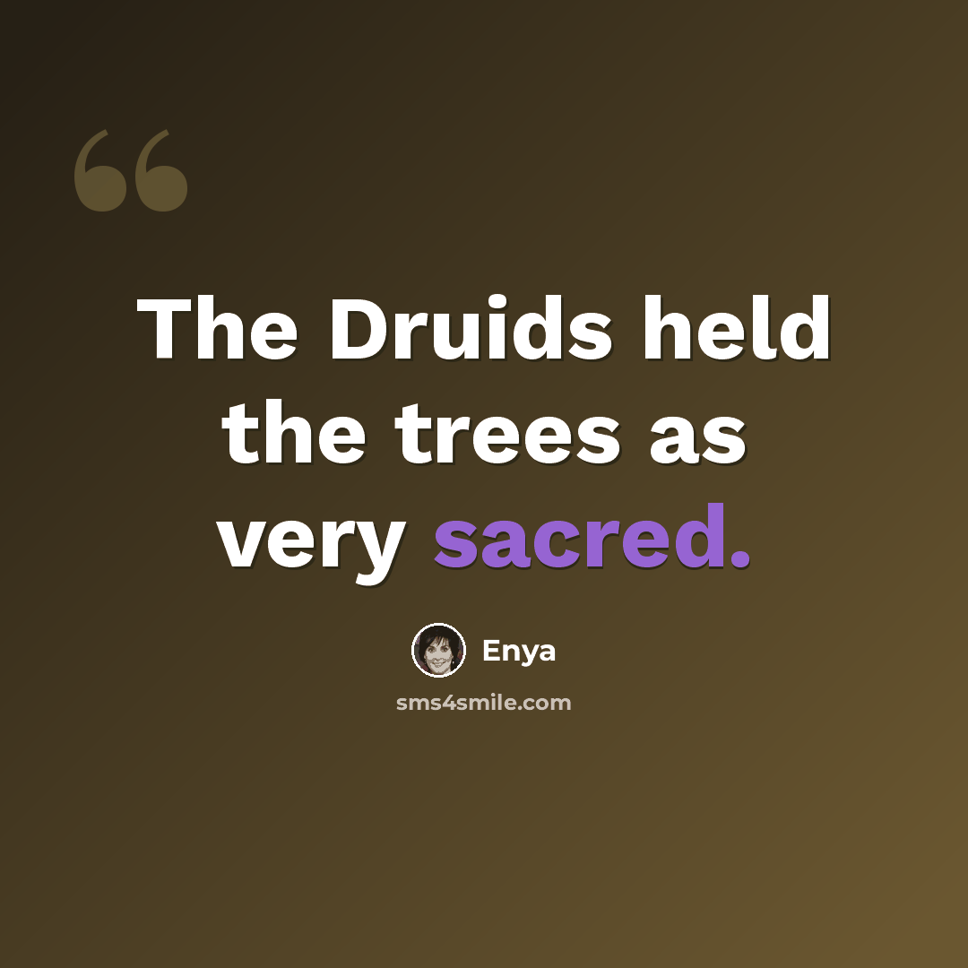 “The Druids held the trees as very sacred.” quote by Enya