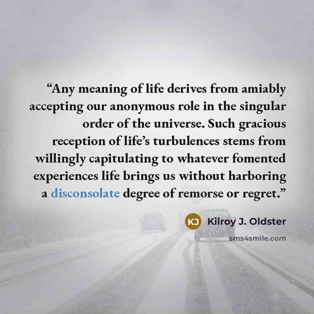 “Any meaning of life derives from amiably accepting our anonymous role in the singular order of the universe. Such gracious reception of life’s turbulences stems from willingly capitulating to whatever fomented experiences life brings us without harboring a disconsolate degree of remorse or regret.” quote by Kilroy J. Oldster