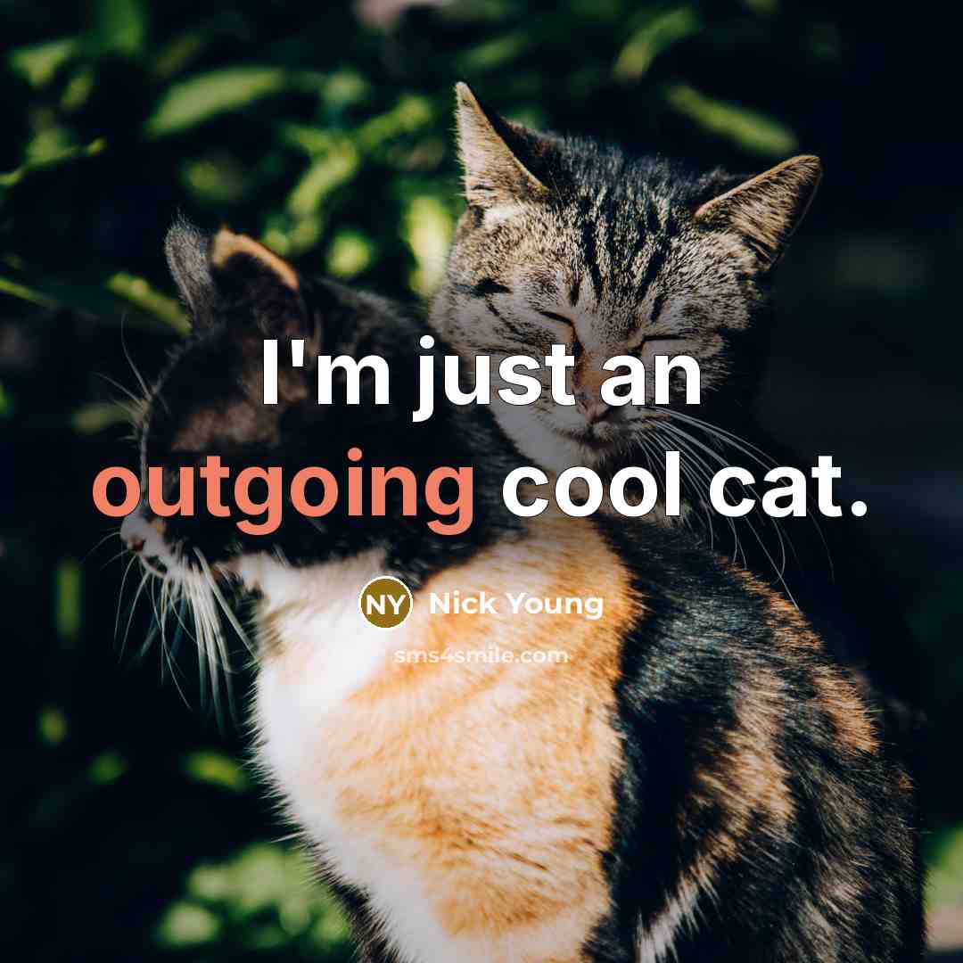 “I'm just an outgoing cool cat.” quote by Nick Young
