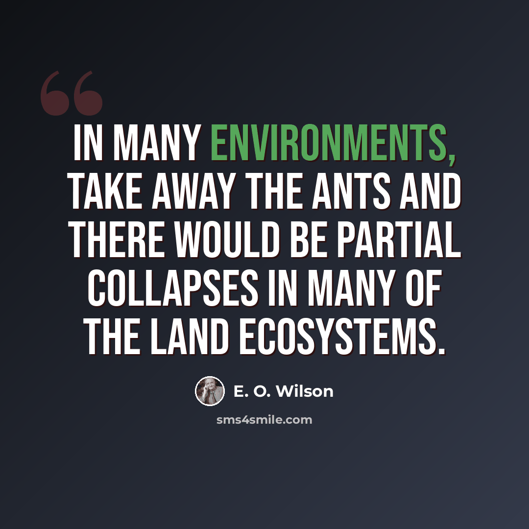 “In many environments, take away the ants and there would be partial collapses in many of the land ecosystems.” quote by E. O. Wilson
