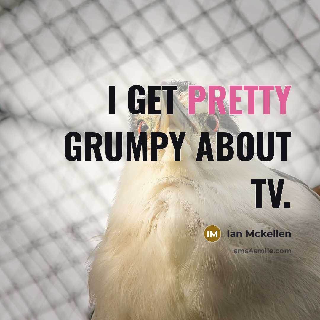 “I get pretty grumpy about TV.” quote by Ian Mckellen