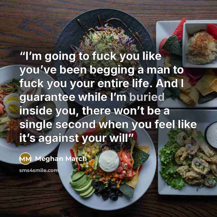 “I’m going to fuck you like you’ve been begging a man to fuck you your entire life. And I guarantee while I’m buried inside you, there won’t be a single second when you feel like it’s against your will” quote by Meghan March