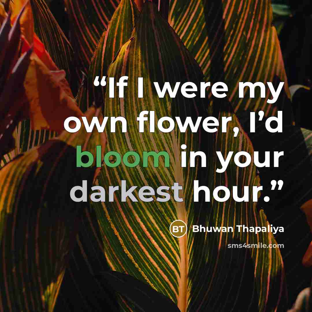 “If I were my own flower, I’d bloom in your darkest hour.” quote by Bhuwan Thapaliya