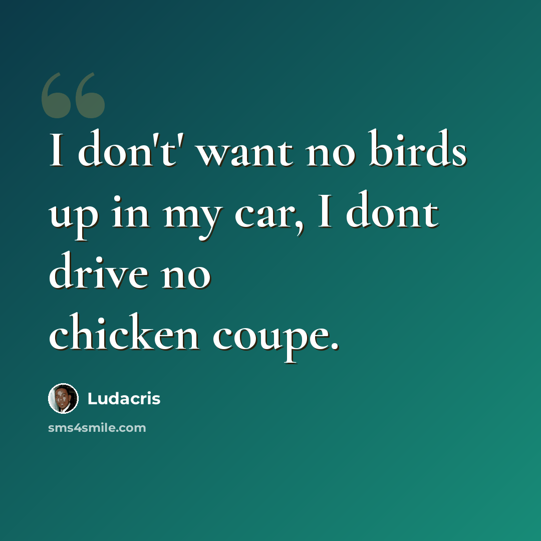 “I don't' want no birds up in my car, I dont drive no chicken coupe.” quote by Ludacris