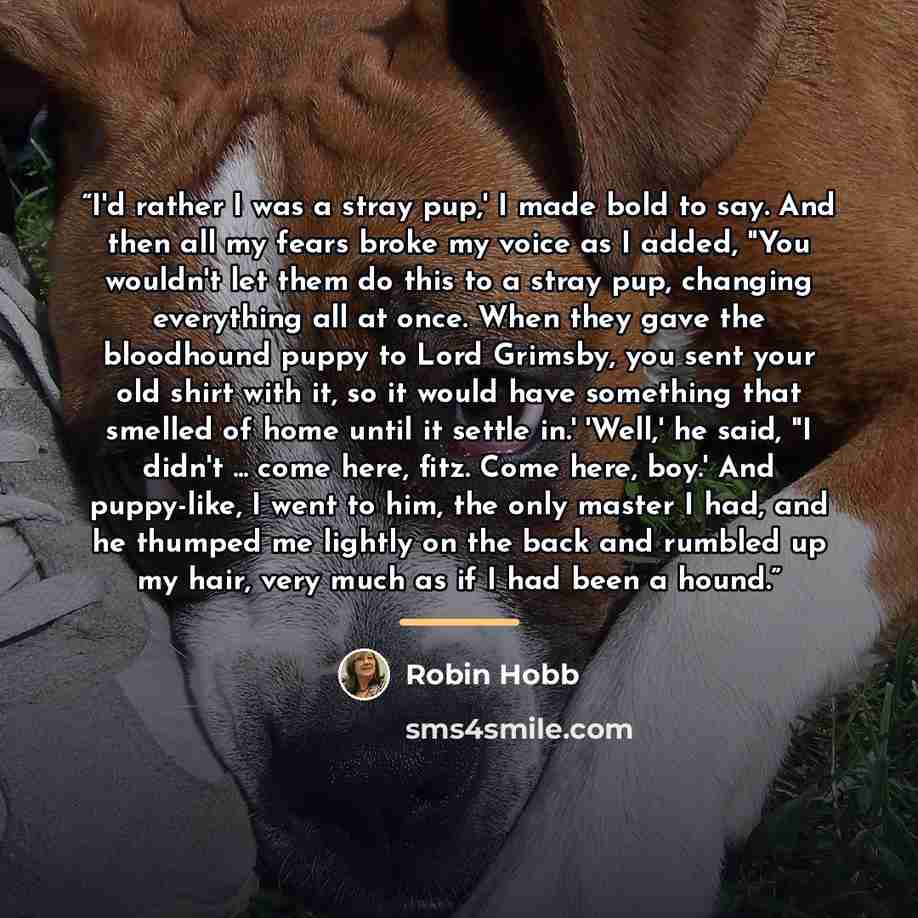 “I'd rather I was a stray pup,' I made bold to say. And then all my fears broke my voice as I added, "You wouldn't let them do this to a stray pup, changing everything all at once. When they gave the bloodhound puppy to Lord Grimsby, you sent your old shirt with it, so it would have something that…” quote by Robin Hobb