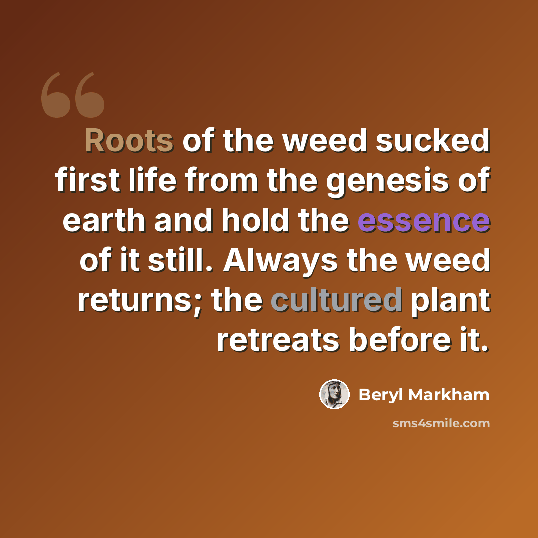 “Roots of the weed sucked first life from the genesis of earth and hold the essence of it still. Always the weed returns; the cultured plant retreats before it.” quote by Beryl Markham