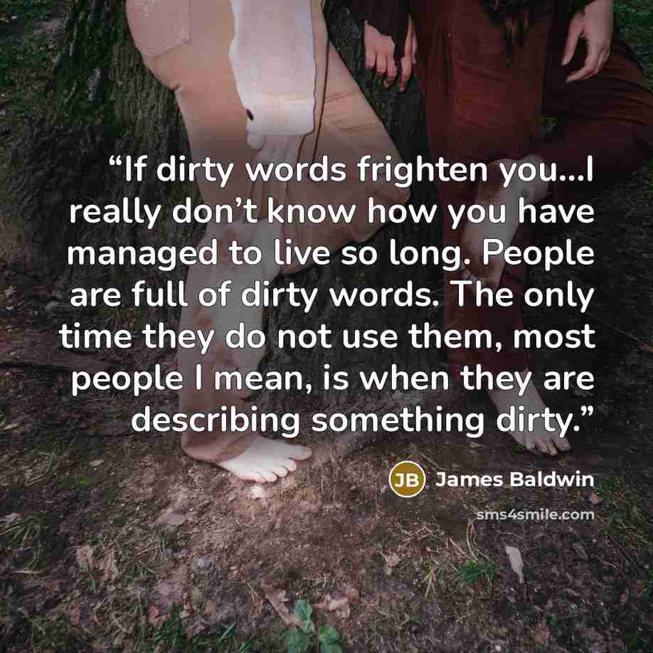 “If dirty words frighten you...I really don’t know how you have managed to live so long. People are full of dirty words. The only time they do not use them, most people I mean, is when they are describing something dirty.” quote by James Baldwin