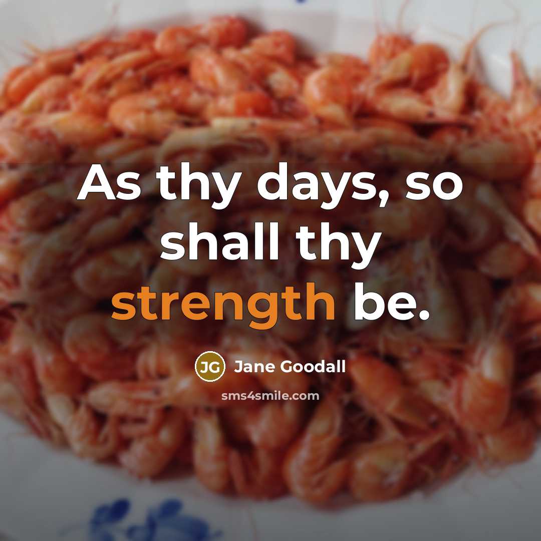“As thy days, so shall thy strength be.” quote by Jane Goodall