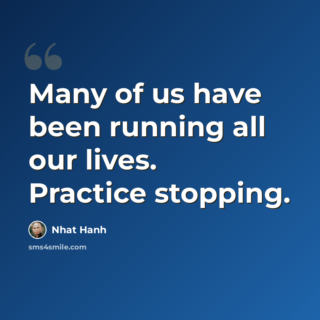 “Many of us have been running all our lives. Practice stopping.” quote by Nhat Hanh