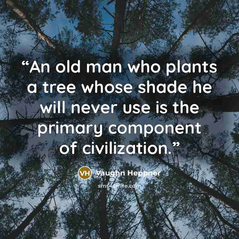 “An old man who plants a tree whose shade he will never use is the primary component of civilization.” quote by Vaughn Heppner