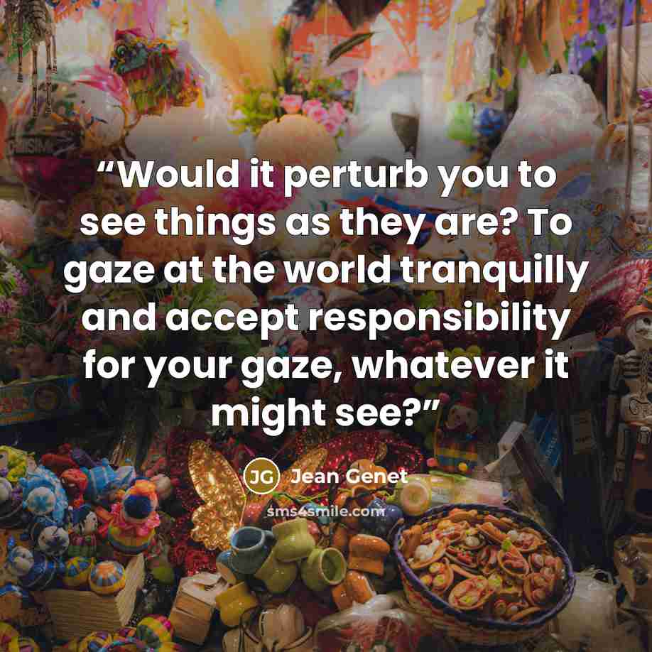 “Would it perturb you to see things as they are? To gaze at the world tranquilly and accept responsibility for your gaze, whatever it might see?” quote by Jean Genet