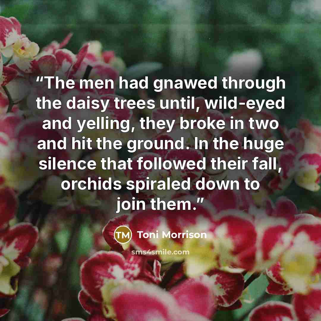 “The men had gnawed through the daisy trees until, wild-eyed and yelling, they broke in two and hit the ground. In the huge silence that followed their fall, orchids spiraled down to join them.” quote by Toni Morrison
