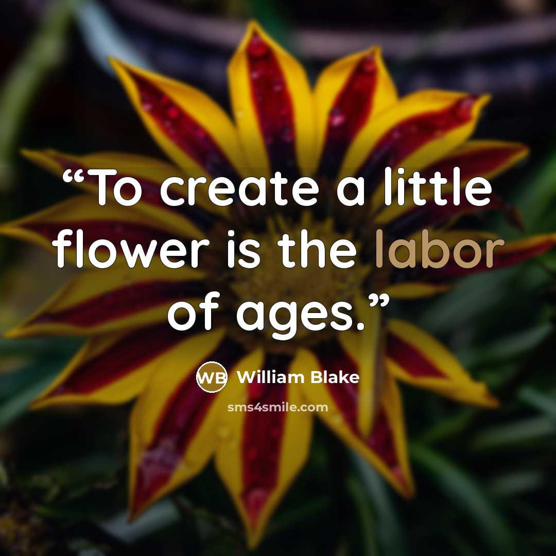 “To create a little flower is the labor of ages.” quote by William Blake