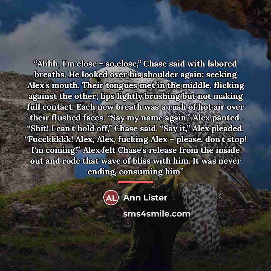 “Ahhh, I'm close – so close,” Chase said with labored breaths. He looked over his shoulder again; seeking Alex's mouth. Their tongues met in the middle, flicking against the other; lips lightly brushing but not making full contact. Each new breath was a rush of hot air over their flushed faces…” quote by Ann Lister