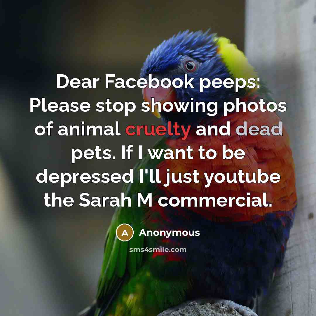 “Dear Facebook peeps: Please stop showing photos of animal cruelty and dead pets. If I want to be depressed I'll just youtube the Sarah M commercial.” quote by Anonymous