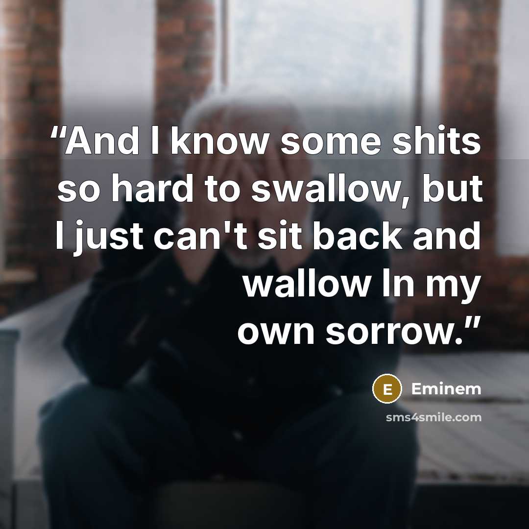 “And I know some shits so hard to swallow, but I just can't sit back and wallow In my own sorrow.” quote by Eminem