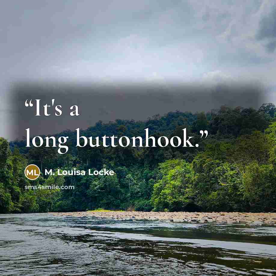 “It's a long buttonhook.” quote by M. Louisa Locke