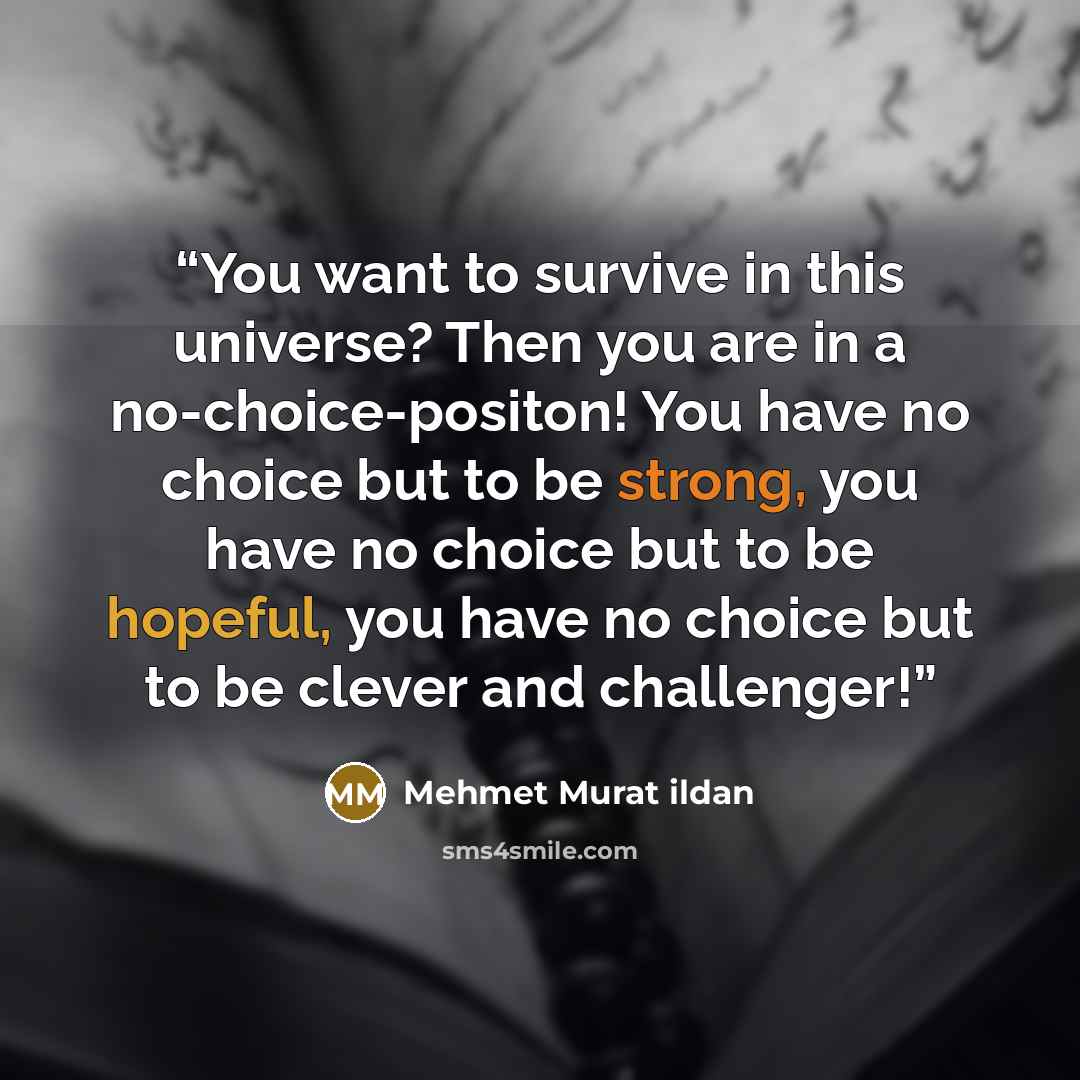 “You want to survive in this universe? Then you are in a no-choice-positon! You have no choice but to be strong, you have no choice but to be hopeful, you have no choice but to be clever and challenger!” quote by Mehmet Murat ildan