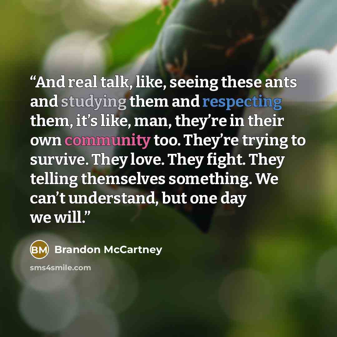 “And real talk, like, seeing these ants and studying them and respecting them, it’s like, man, they’re in their own community too. They’re trying to survive. They love. They fight. They telling themselves something. We can’t understand, but one day we will.” quote by Brandon McCartney