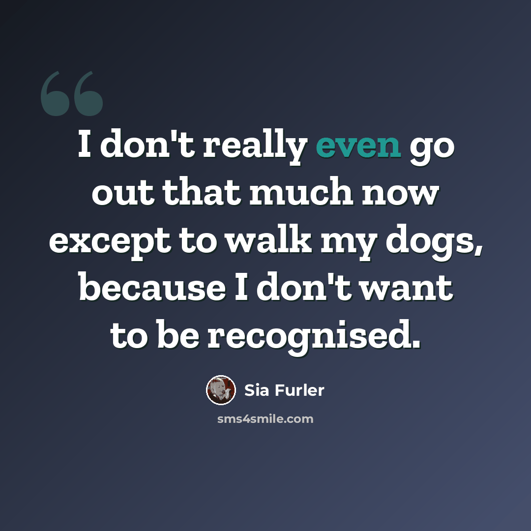 “I don't really even go out that much now except to walk my dogs, because I don't want to be recognised.” quote by Sia Furler