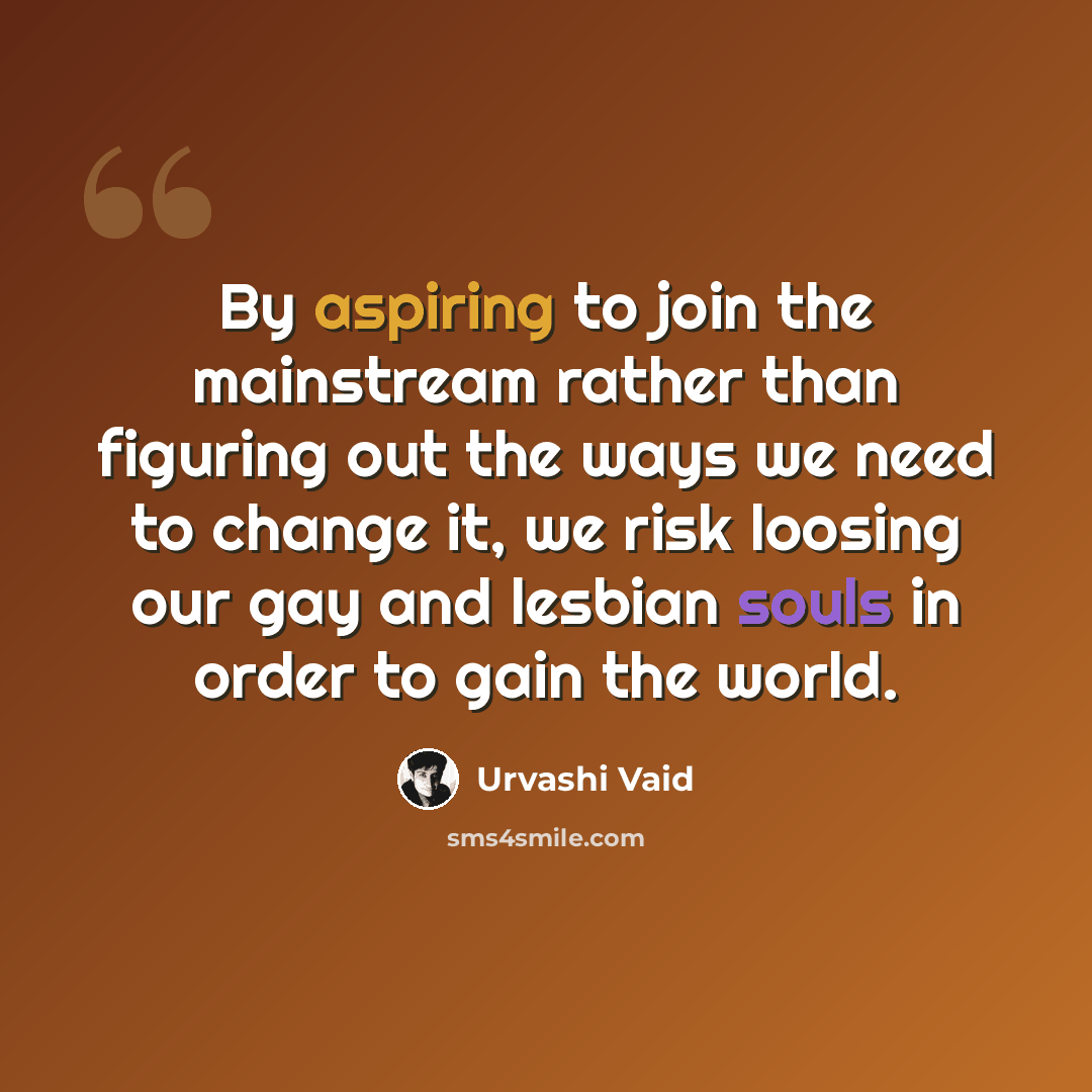“By aspiring to join the mainstream rather than figuring out the ways we need to change it, we risk loosing our gay and lesbian souls in order to gain the world.” quote by Urvashi Vaid