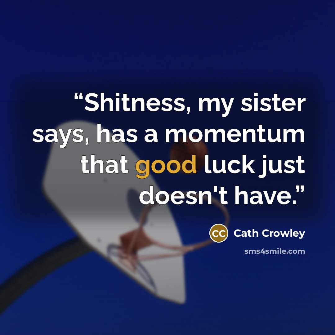 “Shitness, my sister says, has a momentum that good luck just doesn't have.” quote by Cath Crowley