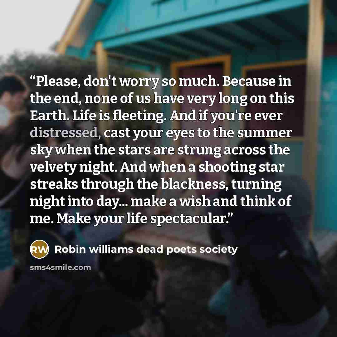 “Please, don't worry so much. Because in the end, none of us have very long on this Earth. Life is fleeting. And if you're ever distressed, cast your eyes to the summer sky when the stars are strung across the velvety night. And when a shooting star streaks through the blackness, turning night into…” quote by Robin williams dead poets society