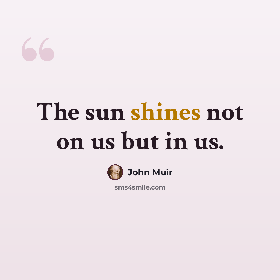 “The sun shines not on us but in us.” quote by John Muir