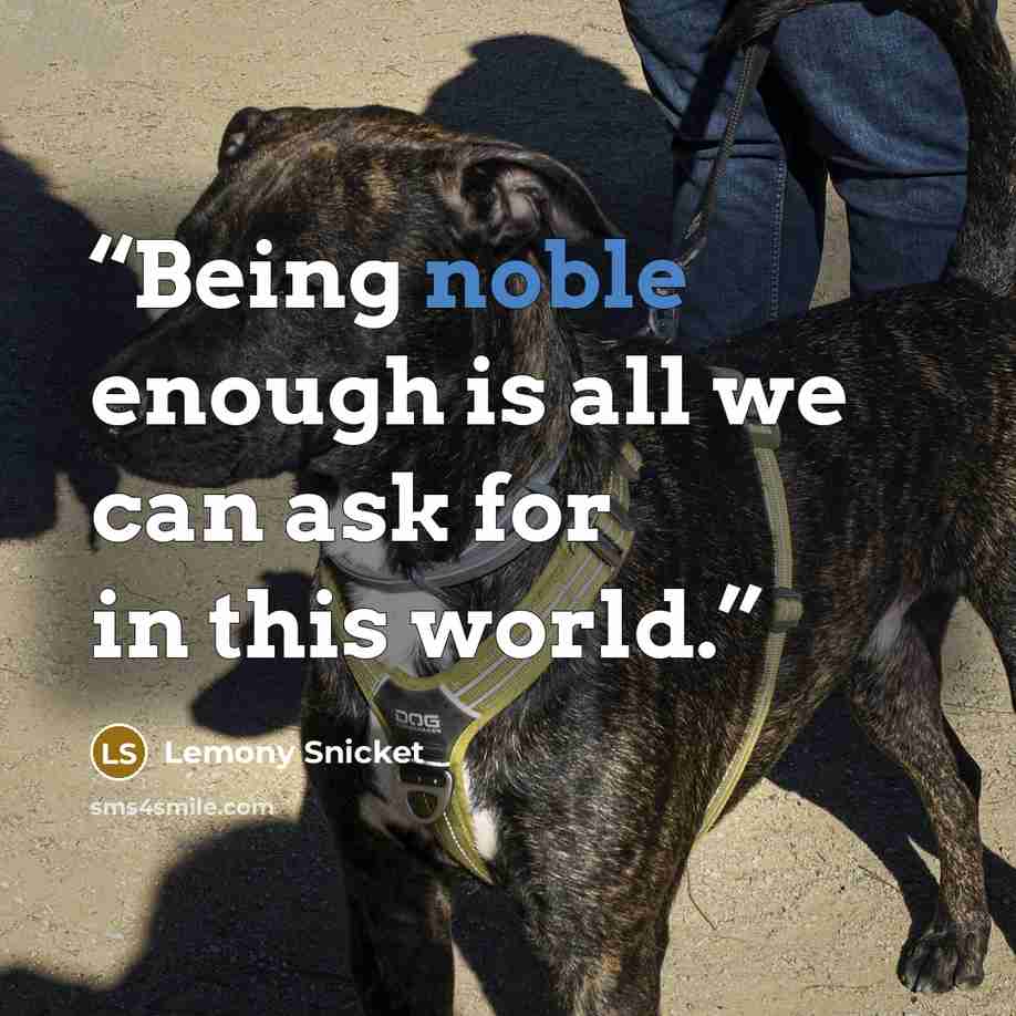 “Being noble enough is all we can ask for in this world.” quote by Lemony Snicket