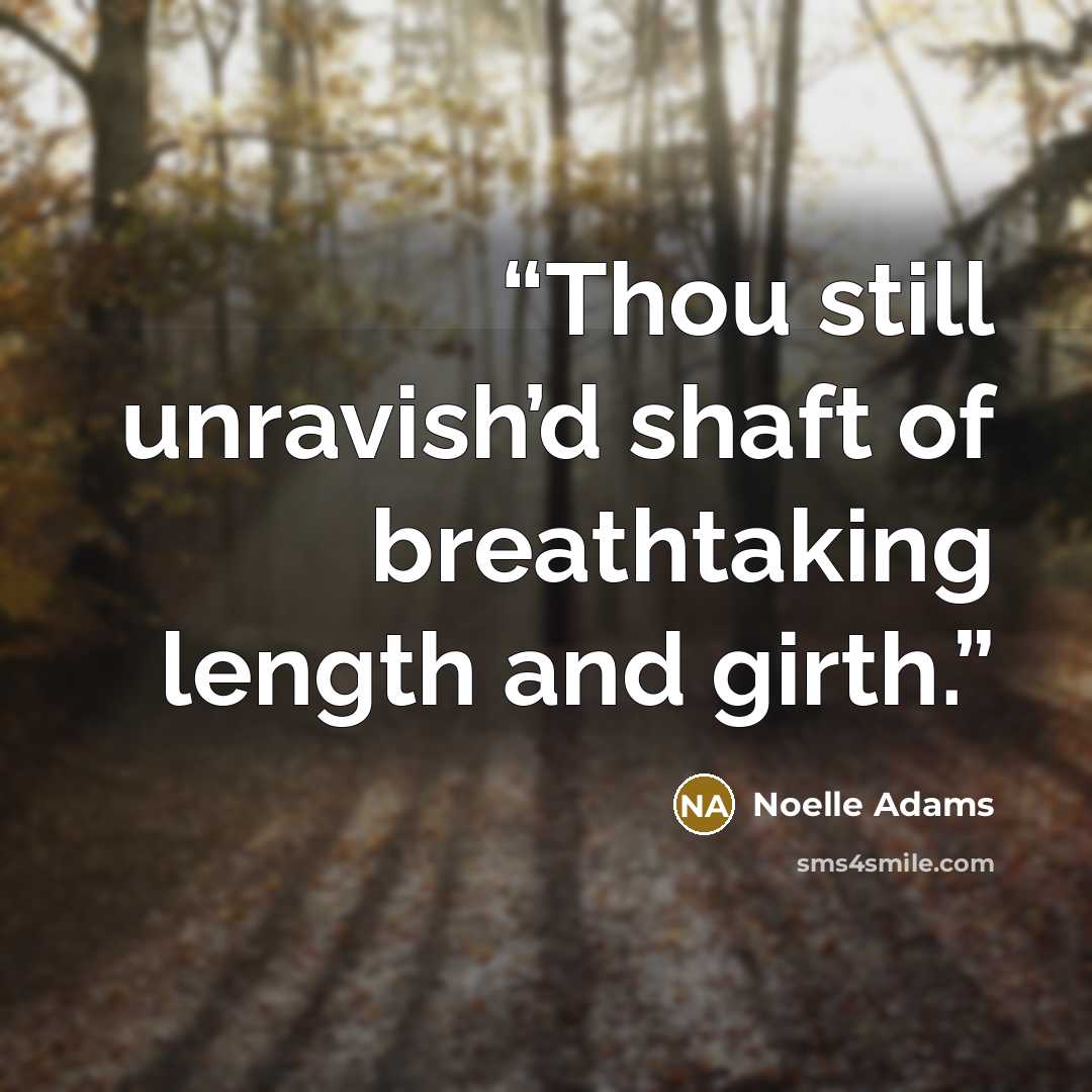 “Thou still unravish’d shaft of breathtaking length and girth.” quote by Noelle Adams