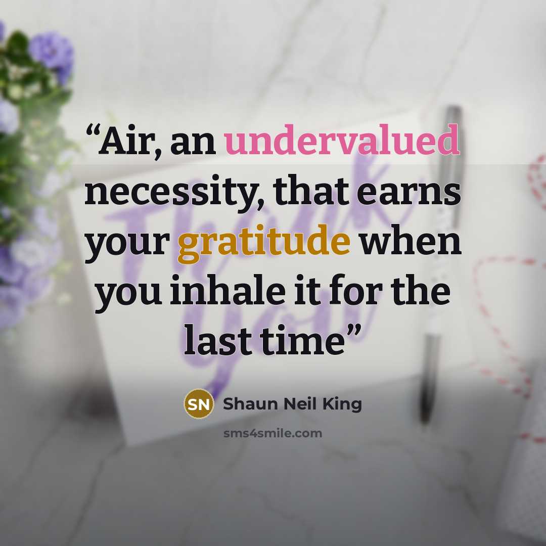 “Air, an undervalued necessity, that earns your gratitude when you inhale it for the last time” quote by Shaun Neil King