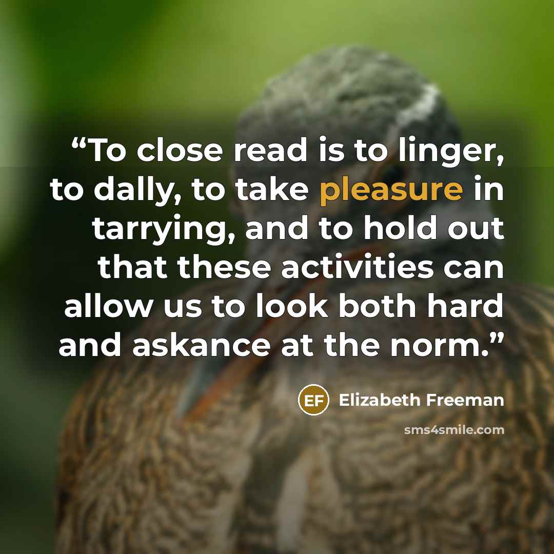“To close read is to linger, to dally, to take pleasure in tarrying, and to hold out that these activities can allow us to look both hard and askance at the norm.” quote by Elizabeth Freeman
