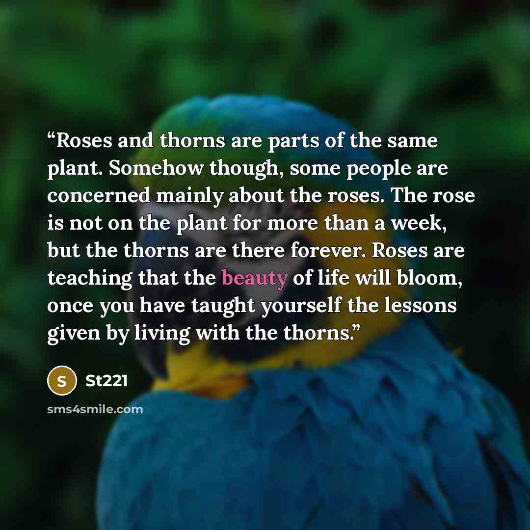 “Roses and thorns are parts of the same plant. Somehow though, some people are concerned mainly about the roses. The rose is not on the plant for more than a week, but the thorns are there forever. Roses are teaching that the beauty of life will bloom, once you have taught yourself the lessons…” quote by ST221