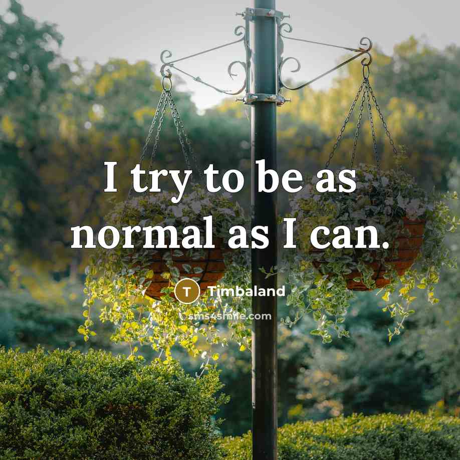 “I try to be as normal as I can.” quote by Timbaland
