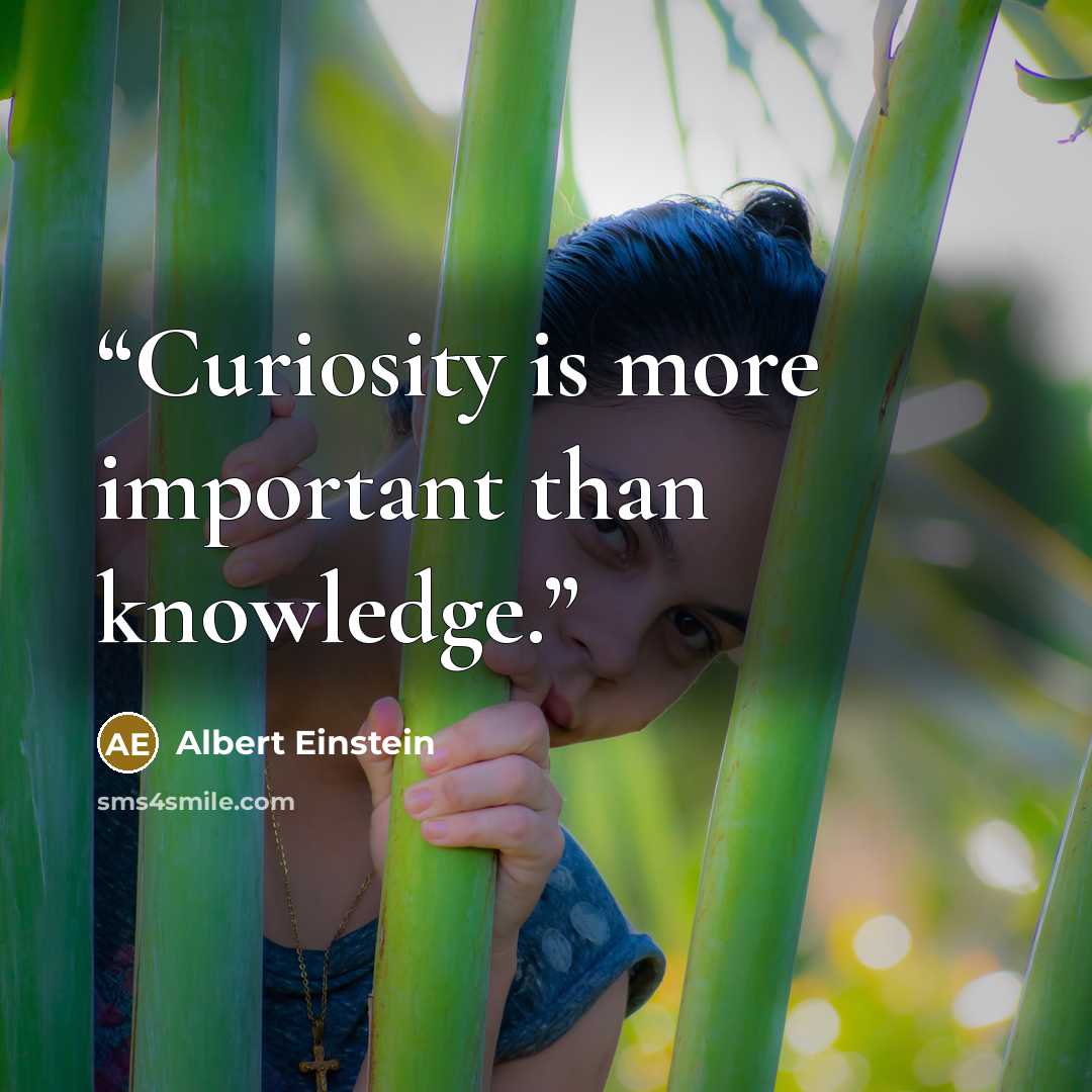“Curiosity is more important than knowledge.” quote by Albert Einstein