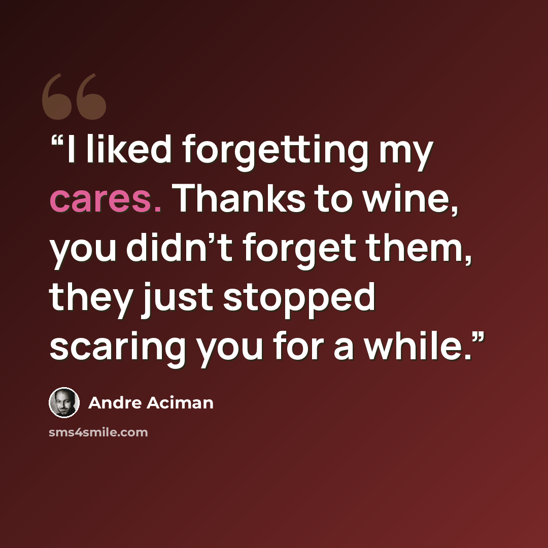 “I liked forgetting my cares. Thanks to wine, you didn't forget them, they just stopped scaring you for a while.” quote by André Aciman