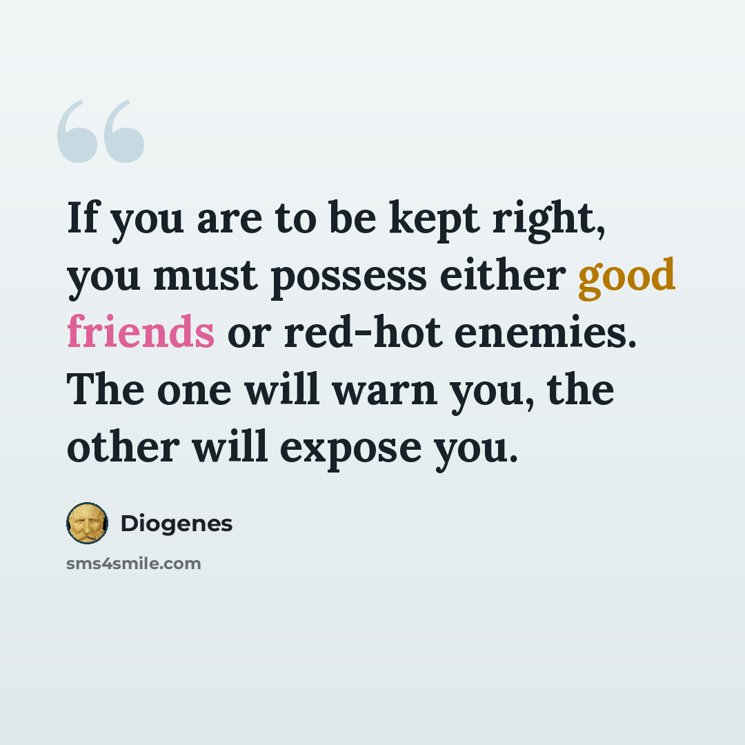 “If you are to be kept right, you must possess either good friends or red-hot enemies. The one will warn you, the other will expose you.” quote by Diogenes