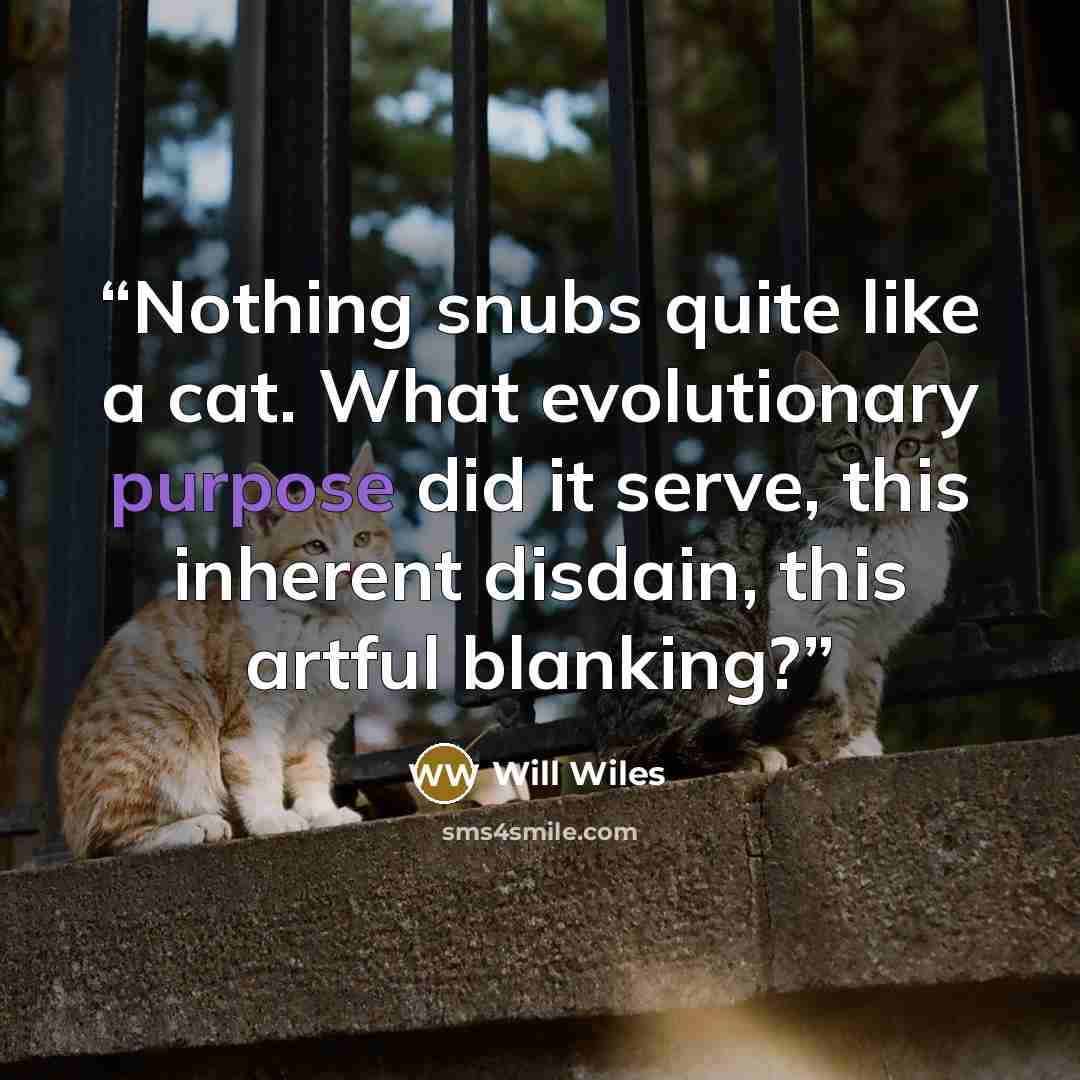 “Nothing snubs quite like a cat. What evolutionary purpose did it serve, this inherent disdain, this artful blanking?” quote by Will Wiles