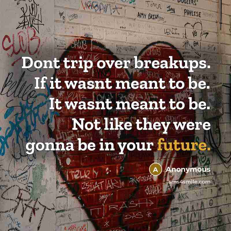 “Dont trip over breakups. If it wasnt meant to be. It wasnt meant to be. Not like they were gonna be in your future.” quote by Anonymous
