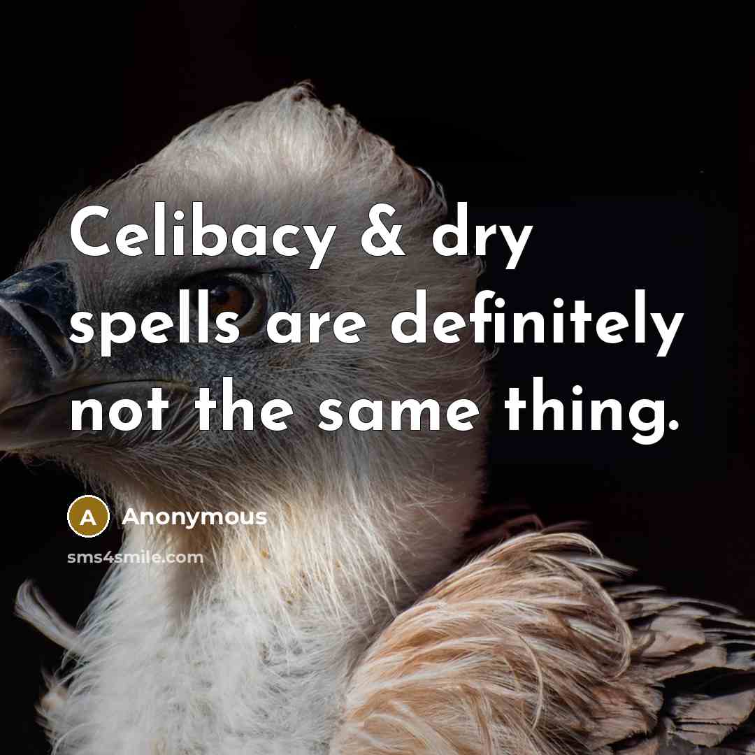 “Celibacy & dry spells are definitely not the same thing.” quote by Anonymous