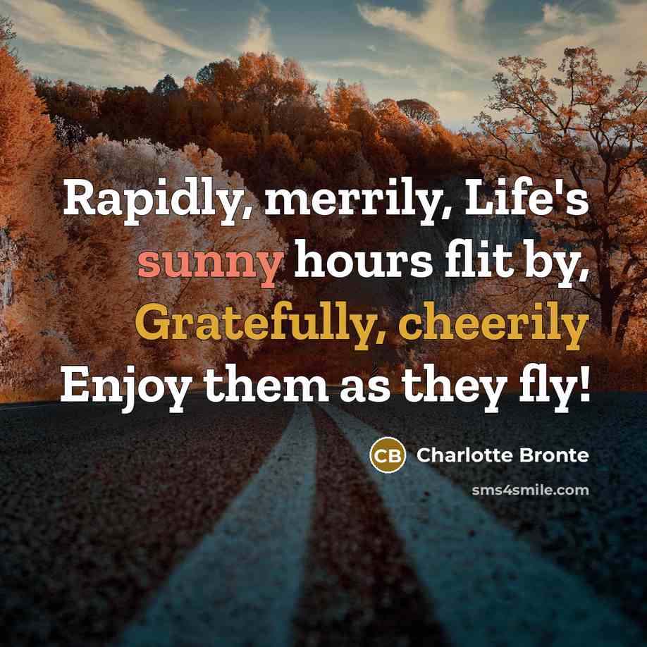 “Rapidly, merrily, Life's sunny hours flit by, Gratefully, cheerily Enjoy them as they fly!” quote by Charlotte Bronte