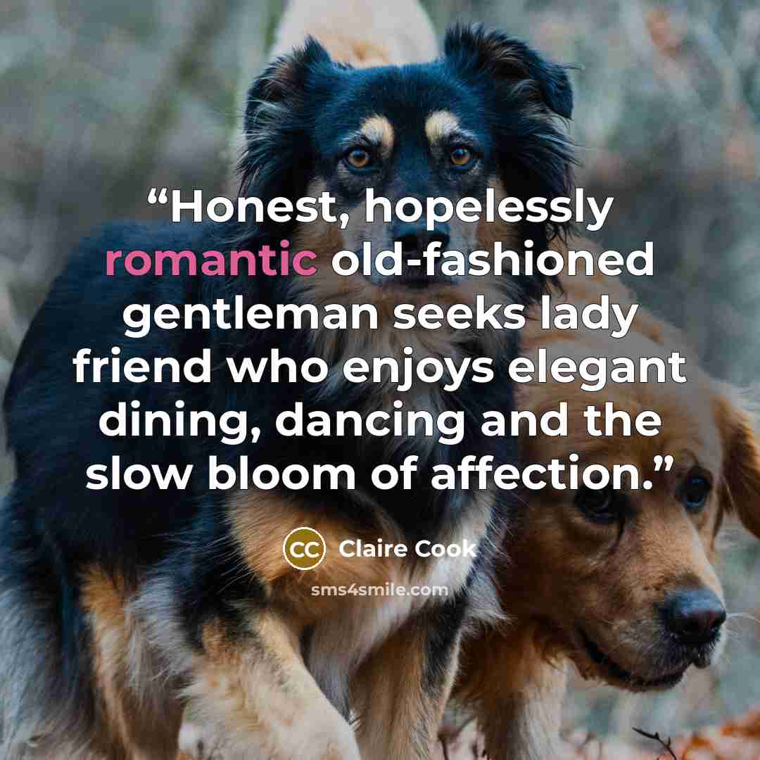 “Honest, hopelessly romantic old-fashioned gentleman seeks lady friend who enjoys elegant dining, dancing and the slow bloom of affection.” quote by Claire Cook