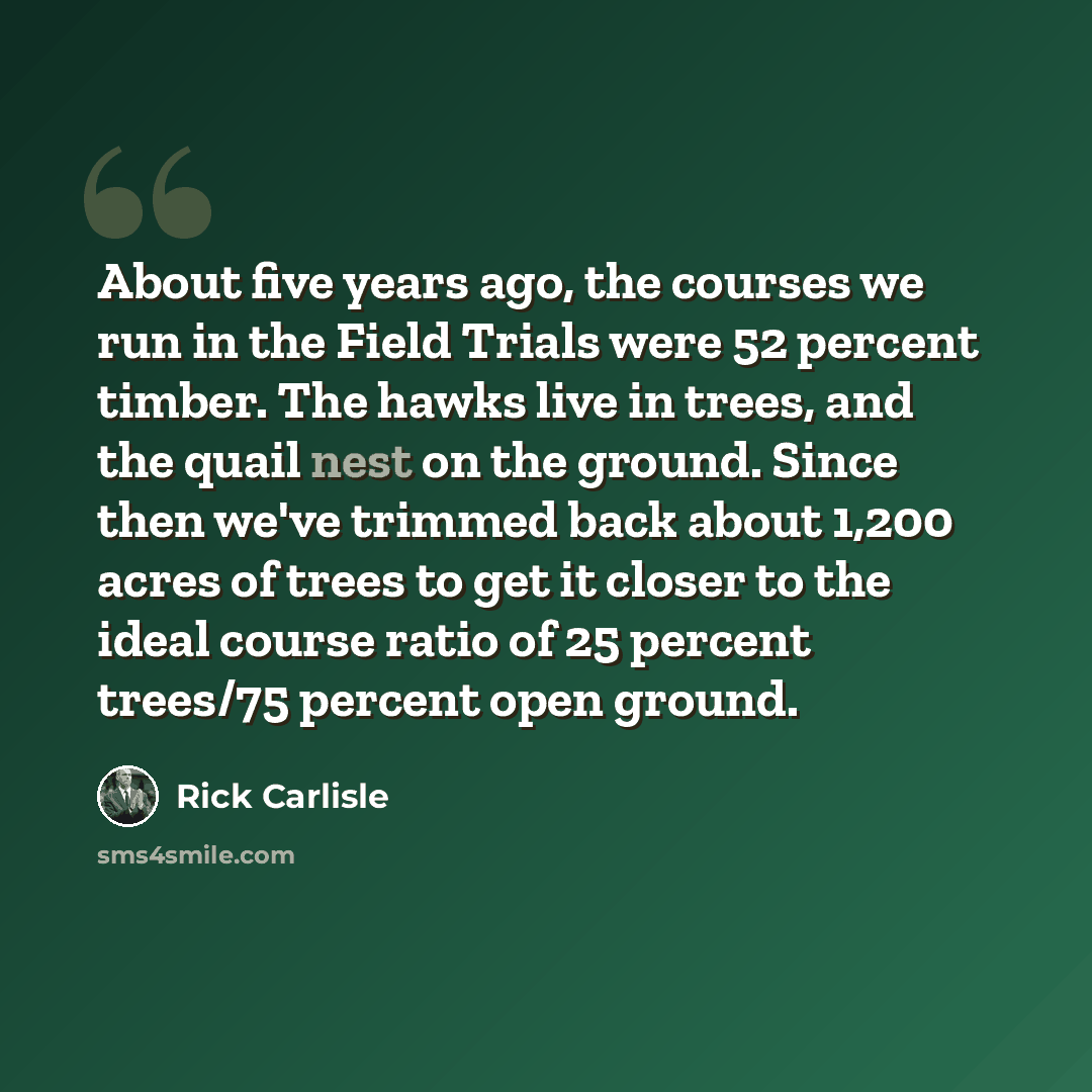 “About five years ago, the courses we run in the Field Trials were 52 percent timber. The hawks live in trees, and the quail nest on the ground. Since then we've trimmed back about 1,200 acres of trees to get it closer to the ideal course ratio of 25 percent trees/75 percent open ground.” quote by Rick Carlisle