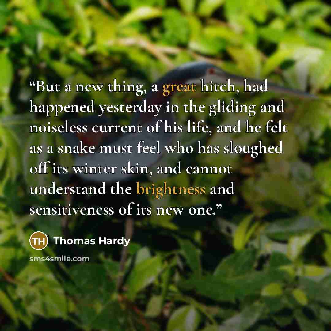 “But a new thing, a great hitch, had happened yesterday in the gliding and noiseless current of his life, and he felt as a snake must feel who has sloughed off its winter skin, and cannot understand the brightness and sensitiveness of its new one.” quote by Thomas Hardy