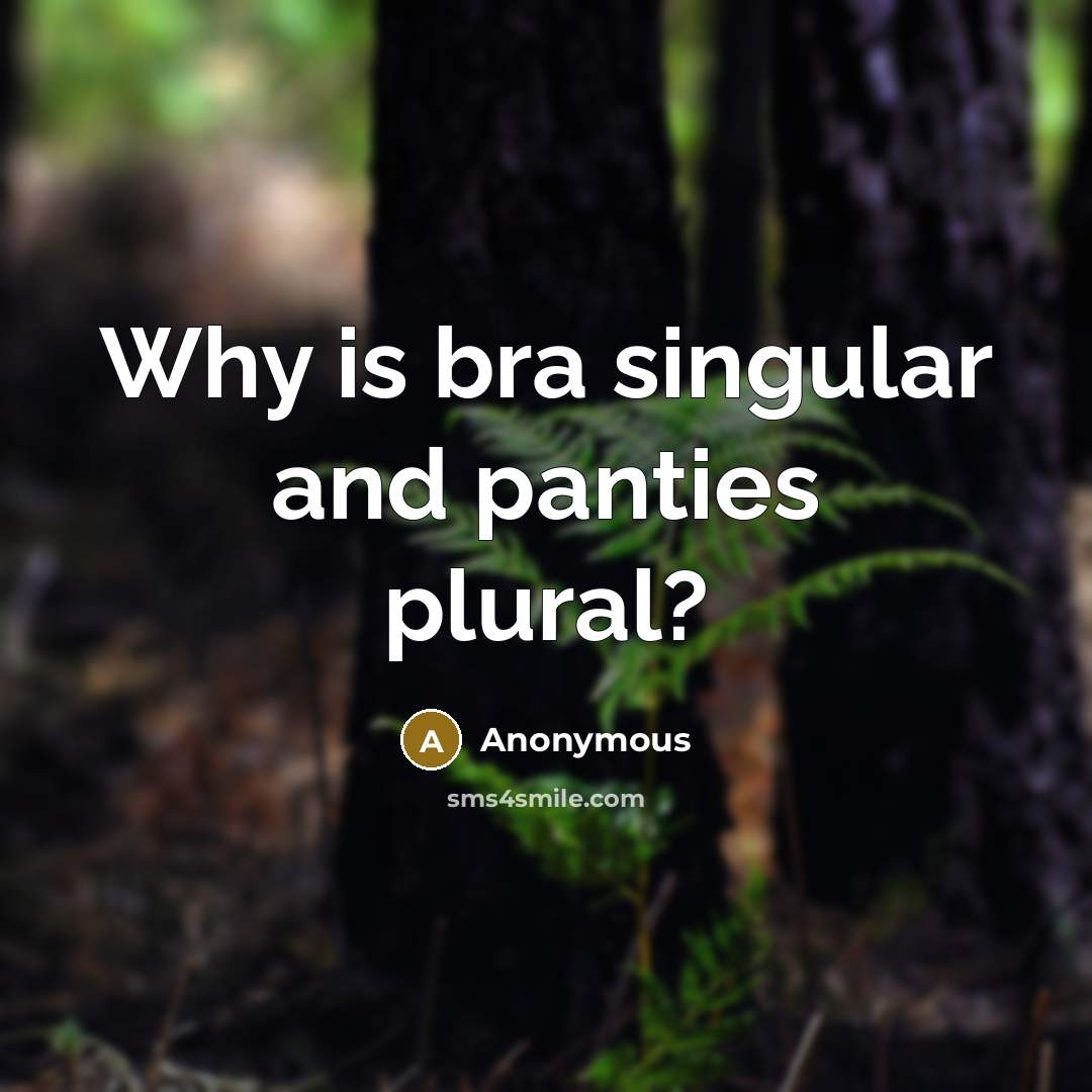 “Why is bra singular and panties plural?” quote by Anonymous