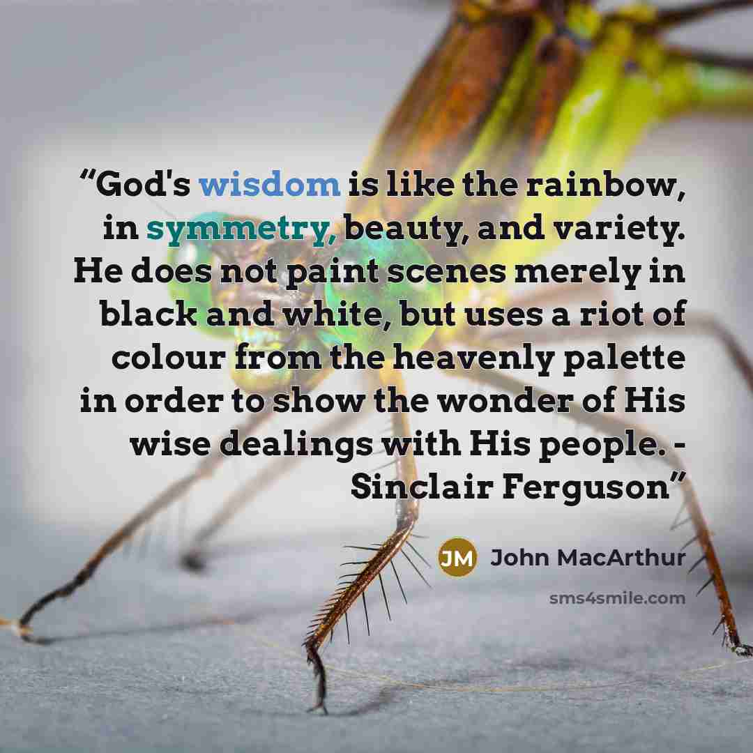 “God's wisdom is like the rainbow, in symmetry, beauty, and variety. He does not paint scenes merely in black and white, but uses a riot of colour from the heavenly palette in order to show the wonder of His wise dealings with His people. - Sinclair Ferguson” quote by John MacArthur