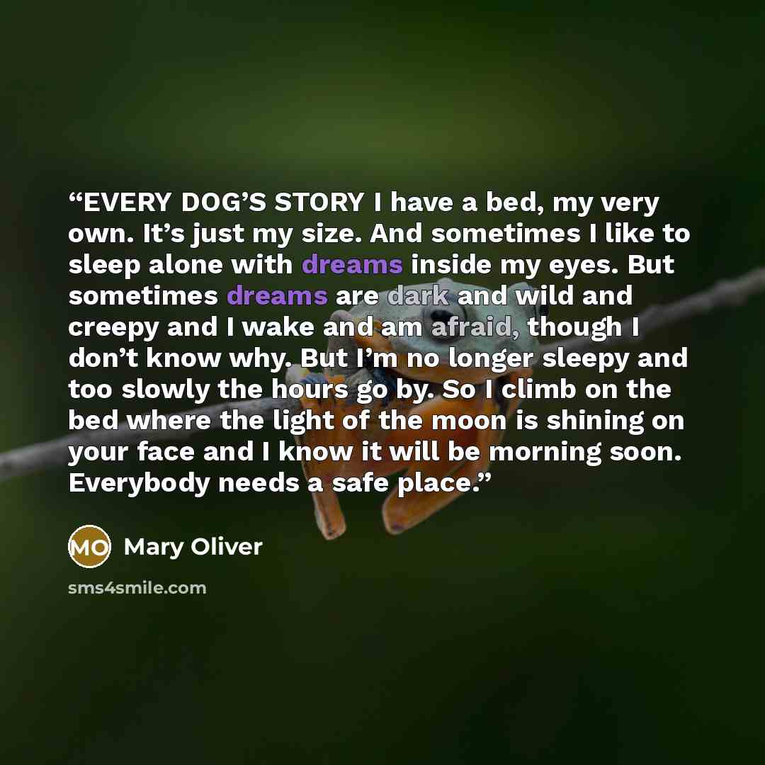 “EVERY DOG’S STORY I have a bed, my very own. It’s just my size. And sometimes I like to sleep alone with dreams inside my eyes. But sometimes dreams are dark and wild and creepy and I wake and am afraid, though I don’t know why. But I’m no longer sleepy and too slowly the hours go by. So I climb…” quote by Mary Oliver